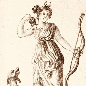 Meet your Posher, Alexzandra!